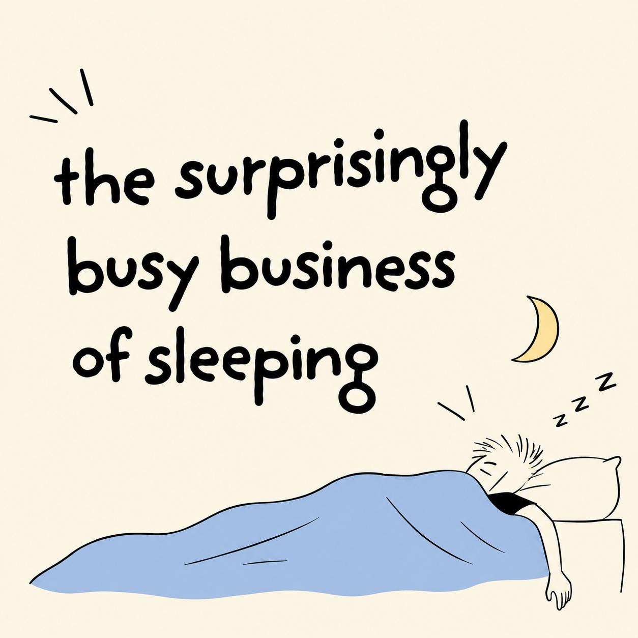 The Surprisingly Busy Business of Sleeping
